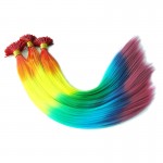 10 Pieces/lot  40cm/16'' Fashion Womens Rainbow Colorful  Straight Grizzly Feather Hair Extensions  With 10pcs Beads For Free