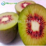 100pcs Kiwi fruit seeds, Thailand Mini Kiwi Fruit Seeds flower,Bonsai plants,delicious mini kiwi Vegetable seeds, free shipping