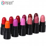 12Colors/Set Mini Cute 12 Colors Lipstick Travel Set Waterproof Lip Color 1.2gx12 High Quality Lips Makeup Brand HengFang #9022