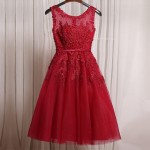 2016 Robe De Soiree Pink Lace Short Party Dresses Embroidery with Beaded Perspective Backless Fashion Elegant Party Dress