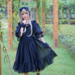 2017 New Classic Lolita Dress Sweet V Neck Embroidered Half Sleeve Chiffon Dress for Women Black/White