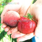 300/bag Giant Strawberry Seeds Rare Big Diy plant bonsai Fragaria Fruit Seed For Home Garden flower Plants Cherry Berry sementes