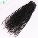 7A Grade Kinky Curly Clip In Human Hair Extensions 100/120G Brazilian Virgin Hair Clip In Extension Human Hair Extension 7Pc/Set