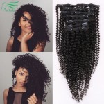 7A Grade Kinky Curly Clip In Human Hair Extensions 100/120G Brazilian Virgin Hair Clip In Extension Human Hair Extension 7Pc/Set