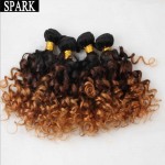 7A Ombre Brazilian Virgin Hair Spiral Curly with Closure 2/3/4 Bundles with Lace Frontal Closure Kinky Curly Human Hair Weave 