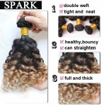 7A Ombre Brazilian Virgin Hair Spiral Curly with Closure 2/3/4 Bundles with Lace Frontal Closure Kinky Curly Human Hair Weave 