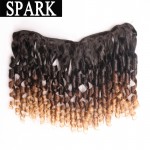 7A Ombre Brazilian Virgin Hair Spiral Curly with Closure 2/3/4 Bundles with Lace Frontal Closure Kinky Curly Human Hair Weave 