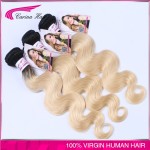 8A Grade Carina hair 613 blonde virgin hair dark roots ombre blonde brazilian hair 3pcs/lot ombre hair extension free shipping