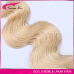 8A Grade Carina hair 613 blonde virgin hair dark roots ombre blonde brazilian hair 3pcs/lot ombre hair extension free shipping