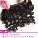 8A Mink Brazilian Kinky Curly Virgin Hair With Closure Loose Wave With Closure Wet And Wavy Brazilian Curly Hair With Closure 