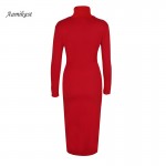 AAMIKAST New Fashion Women Elegant Turtleneck Full Sleeve Solid Party Stretch Bodycon Pencil Sexy Dress Free Shipping