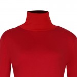 AAMIKAST New Fashion Women Elegant Turtleneck Full Sleeve Solid Party Stretch Bodycon Pencil Sexy Dress Free Shipping