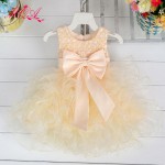 Beaded Bowknot Boutique 0-2Years Toddler Girls Birthdays Dresses Tulle Baby Baptism Purple Red White Christening Dress Costume