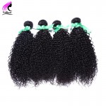 Best 8A Grade Peruvian Virgin Hair Kinky Curly Virgin Hair 4 Bundles Curly Weave Human Hair Weave Afro Kinky Curly Hair Bundles