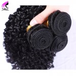 Best 8A Grade Peruvian Virgin Hair Kinky Curly Virgin Hair 4 Bundles Curly Weave Human Hair Weave Afro Kinky Curly Hair Bundles