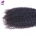 Best 8A Grade Peruvian Virgin Hair Kinky Curly Virgin Hair 4 Bundles Curly Weave Human Hair Weave Afro Kinky Curly Hair Bundles