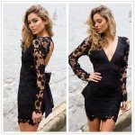 Black Pink Backless Deep V neck Sexy Lace Dress 2016 New Fashion Embroidery Hollow Out Long Sleeve Elegant Women Party Dresses