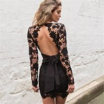 Black Pink Backless Deep V neck Sexy Lace Dress 2016 New Fashion Embroidery Hollow Out Long Sleeve Elegant Women Party Dresses