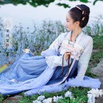 Dunhuang Dream Series--Bodhi Snow Women's Chinese Style Ruqun Vintage Gorgerous Dress Fine Embroidery Hanfu Long Dress 3Pcs Set