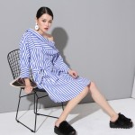 EAM 2017 summer vertical stripe long sleeve loose big yards blue shirt women dress fashion tide temperament 8L2115