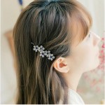 Fashion Hair Barrette Hairpins Hair Clips Accessories For Women Girls Hairgrip Hair Clamp Hairclip Ornaments Headwear Wholesale