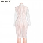 Free Shipping Kardashian New Fashion 2016 Autumn Women's Sexy Striped Mesh See Through Dresses Long Sleeve TurtleNeck Club Dress