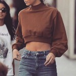 HDY Haoduoyi 2017 Autumn Fashion Women Long Sleeve Loose Straight Sweatshirt Casual Slim Brown High Neck Crop Top Sweatshirt