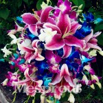 HOT Sale 100 PCS  24 Colors Lily Seeds, Cheap Perfume Lilies Seeds, Rare Color Flower Garden Plant - Mixing Different Varieties