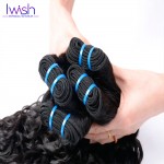 Iwish Hair Peruvian Water Wave Virgin Hair 4 Bundles Wet And Wavy Weave Peruvian Water Wave 100% Curly Human Hair Bundles