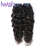 Iwish Virgin Hair Brazilian Water Wave 4pcs/lot Brazilian Virgin Hair Water Wave Unprocessed Human Hair Weave Bundles Water Wave