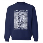 Joy Division Unknown Pleasure funny printed tracksuits men autumn winter fleece long sleeve sweatshirts 2017 hip hop hoodies mma