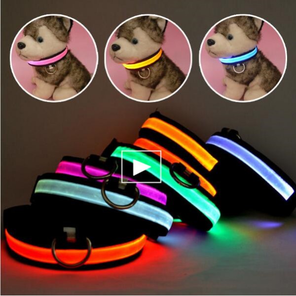 LED Nylon Pet Dog Collar Night Safety Glow Flashing Dog Cat Collar Led Luminous Small Dogs Collars USB Rechargeable