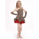 Latin Dance Dress For Girls Samba Dress Ballroom Dancing Dress Girl Dancewear Ballet Vestido Baile Latino Girls Leopard Grain