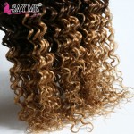 Malaysian Deep Wave Blonde Ombre Curly Malaysian Virgin Hair 4 Bundles Malaysian Deep Curly Virgin Hair Cheap Human Hair Weaves