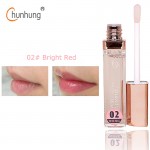 Matte Lip Gloss Long Lasting Waterproof  Lipquid Lipsticks  Moisturizer Nutritious Lip Gloss Pink Lip Tint Lipgloss 3 Color Lips