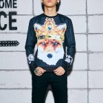 Mr.1991INC Golden wolf 3d sweatshirt men's autumn tops casual animals print hoodies slim sudaderas Asia size S-XL