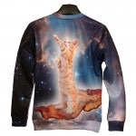 Mr.1991INC New Fashion Men/Women's 3D Hoodies Funny printed animal Standing cat space galaxy 3d sweatshirts hoody tops