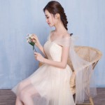 New Arrival Cute Champagne Party Dresses Short Chiffon Appliques Mismatched Dresses Vestidos De Festa Bridesmaid Wedding