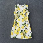 New Arrival Lemons Printed  Jacquard Sleeveless  Dress  160409LU01