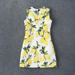 New Arrival Lemons Printed  Jacquard Sleeveless  Dress  160409LU01