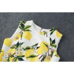 New Arrival Lemons Printed  Jacquard Sleeveless  Dress  160409LU01