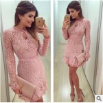 New Arrive Vestidos Women Fashion Casual Lace Dress 2016 O-Neck Long sleeve Pink Evening Party Dresses Vestido de festa