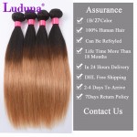 Ombre Brazilian Virgin Hair Straight 4Pcs Lot Two Tone Ombre Brazilian Hair Bundles Ombre Hair Extensions Virgin Straight Hair