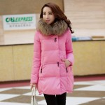 Parka Hooded Winter Jacket  New Women Coats Jackets Women Fur Collar Winter Coat Female Zipper Jacket