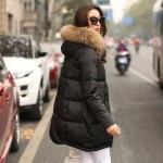 Parka Hooded Winter Jacket  New Women Coats Jackets Women Fur Collar Winter Coat Female Zipper Jacket