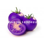 Purple sacred fruit tomato seeds vegetables and fruits seed 100 pcs / packing for home garden * farm plants easy to grow bonsai