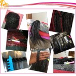 Quality Havana Mambo Twist Crochet Braid Hair Synthetic crochet braids Crochet  Braid Hair Extensions Senegalese Twist