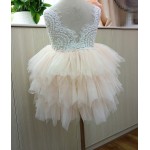 Retail  2017 Girl summer lace princess tutu dress , princess dress , summer dress girl , RM03