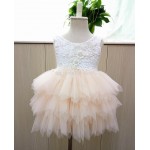 Retail  2017 Girl summer lace princess tutu dress , princess dress , summer dress girl , RM03