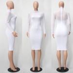 Sexy Club Dresses 2018 Autumn Winter Robe Sexy Women Long Sleeve Slim Black White Dress Bodycon Perspective Pencil Dress Vestido